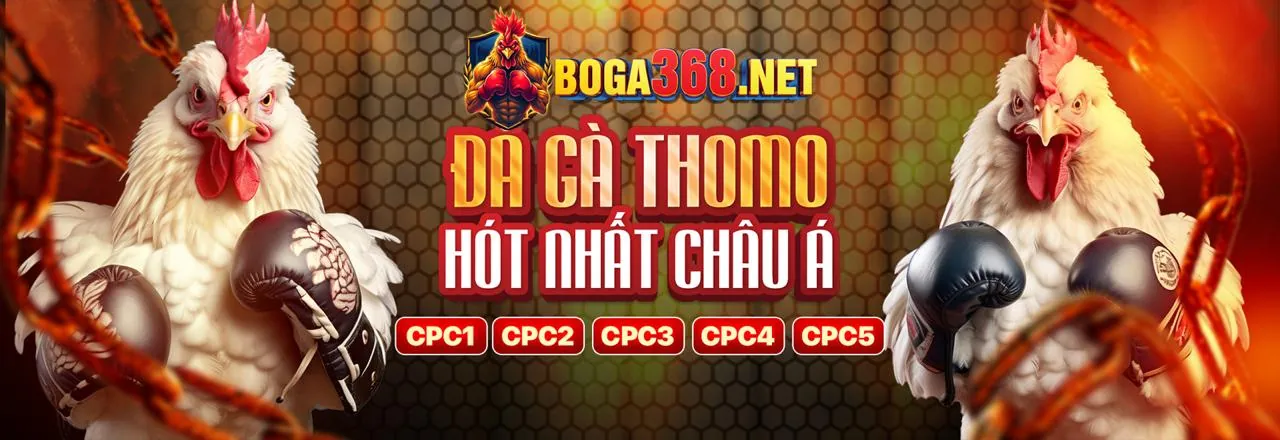 Liên hệ Niw88 để được hỗ trợ