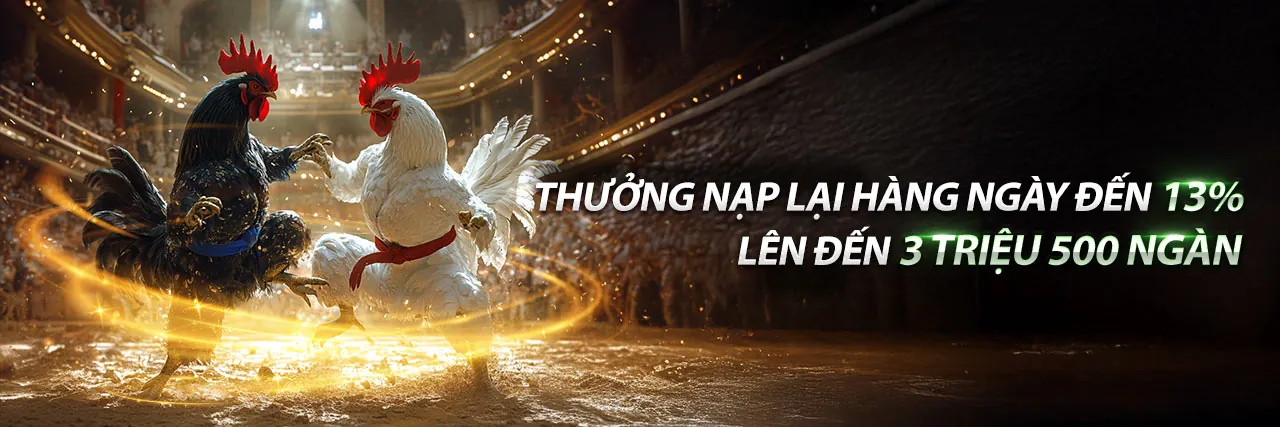 Đá gà trực tuyến đỉnh cao tại Niw88