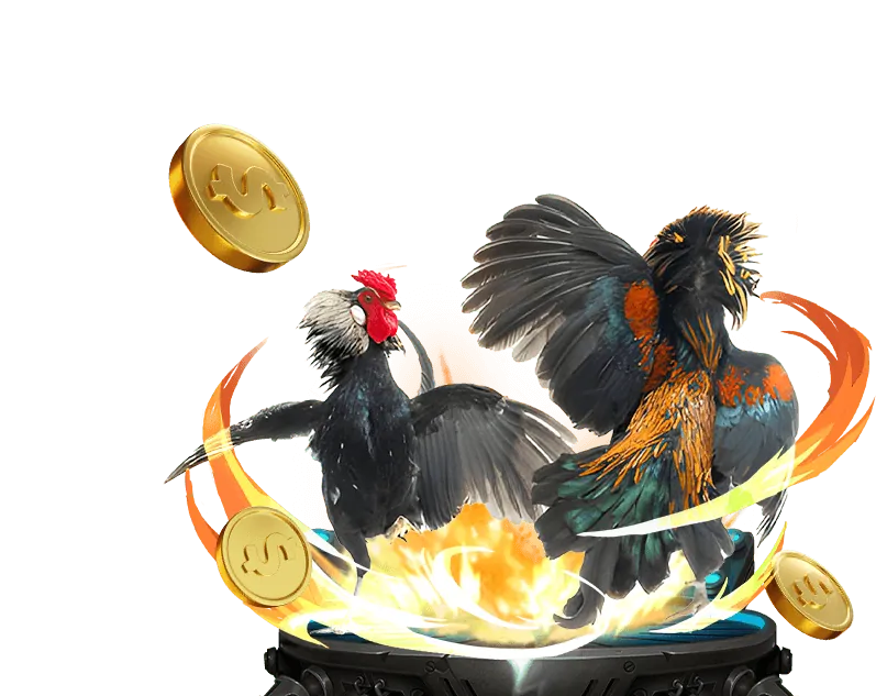 Hoàn Trả & Hoàn Cược